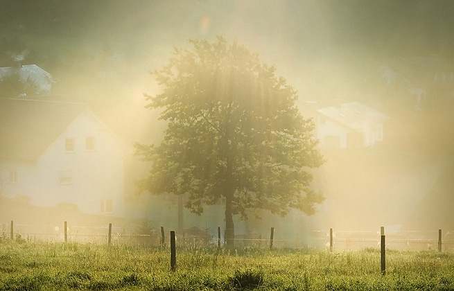 企业效能提升的小七电话在线网页轰炸