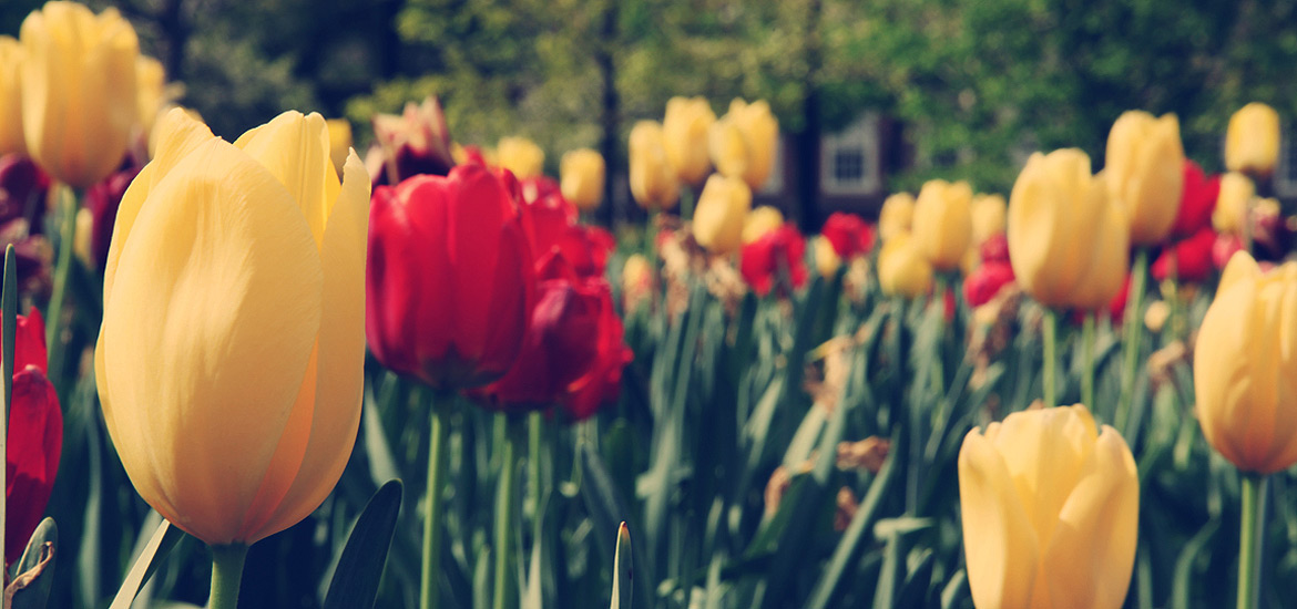 秋思手机号轰炸平台